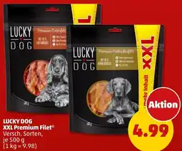 PENNY LUCKY DOG XXL Premium Filet Angebot