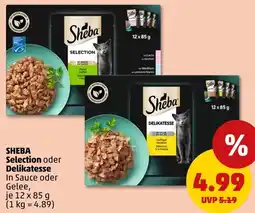 PENNY SHEBA Selection oder Delikatesse Angebot