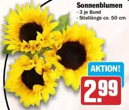 HIT Sonnenblumen Angebot