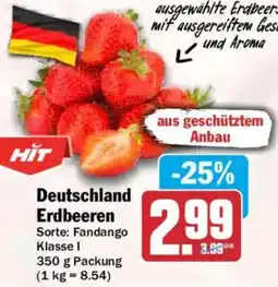 HIT Deutschland Erdbeeren Angebot
