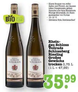 Scheck-in-Center Rheingau Schloss Vollrads Schlossberg Riesling Großes Gewächs trocken Angebot