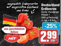 HIT Deutschland Erdbeeren Angebot