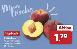 Combi Nektarinen Angebot
