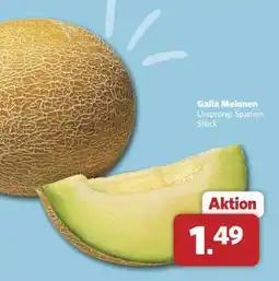 Combi Galia Melonen Angebot