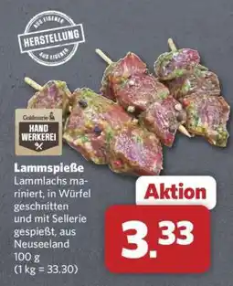 Combi Lammspieße Angebot