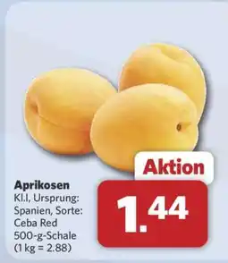 Combi Aprikosen Angebot