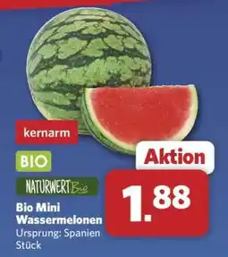 Combi Bio Mini Wassermelonen Angebot