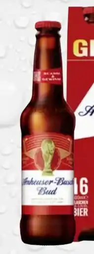 trinkgut Anheuser Busch Bud Beer Angebot