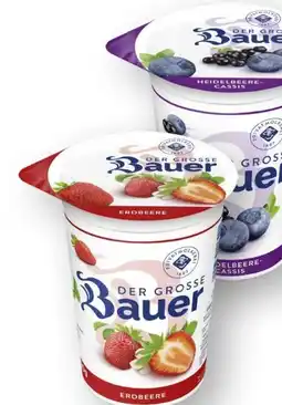Scheck-in-Center Bauer Der Große Fruchtjoghurt Angebot