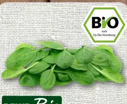 nahkauf Rewe Bio Baby Spinat Angebot