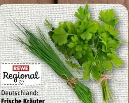 nahkauf Rewe Regional Kräuter Schnittlauch Angebot