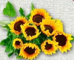 nahkauf Sonnenblumen Bund Angebot