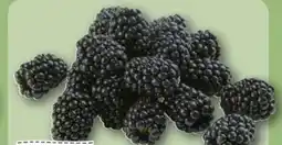 REWE Center Rewe Regional Brombeeren Angebot