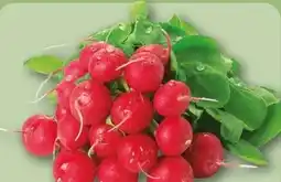 REWE Center Radieschen Angebot