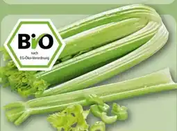 REWE Center Rewe Bio Staudensellerie Angebot