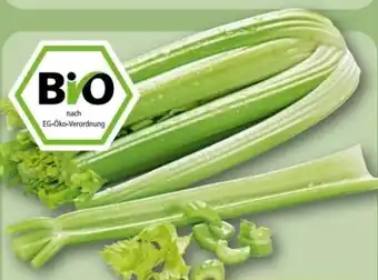 REWE Center Rewe Bio Staudensellerie Angebot
