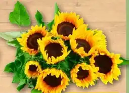 REWE Center Sonnenblumen Angebot
