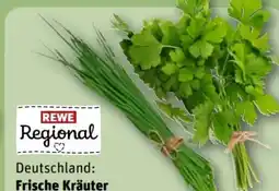 REWE Center Rewe Regional Kräuter Schnittlauch Angebot