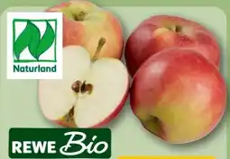 REWE Center Rewe Bio Tafeläpfel Angebot
