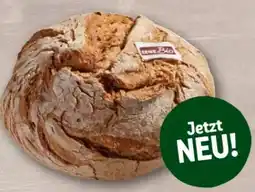 REWE Center Rewe Bio Roggenmischbrot Angebot
