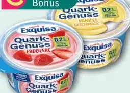 REWE Center Exquisa Quark Genuss Angebot