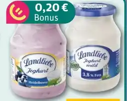 REWE Center Landliebe Joghurt Angebot