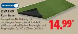 Lidl LIVARNO Kunstrasen Angebot