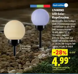 Lidl LIVARNO LED-Solar- Kugelleuchte Angebot
