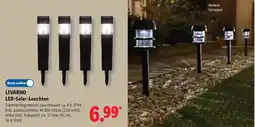Lidl LIVARNO LED-Solar-Leuchten Angebot