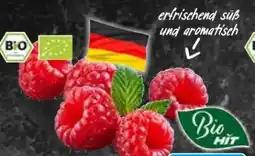 AEZ Bio HIT Himbeeren Angebot