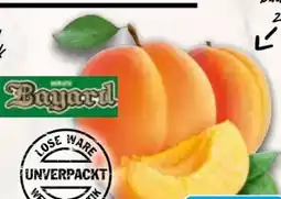 AEZ Domaine Bayard Aprikosen Angebot