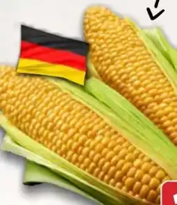 AEZ Zuckermais Angebot