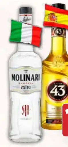 AEZ Molinari Sambuca Angebot