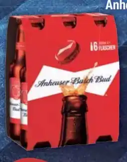 E-Center Anheuser Busch Bud Beer Angebot