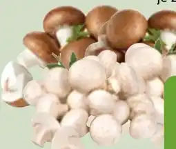 Edeka Xpress Bio-Champignons Angebot