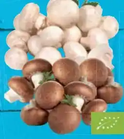 E-Center Bio-Champignons Angebot