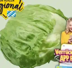 Edeka Xpress Eisbergsalat Angebot
