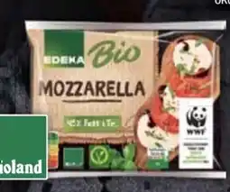 E-Center Edeka Bio Mozzarella Angebot