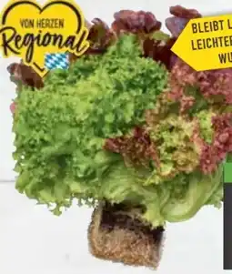 E-Center Ballensalat Trio Mix Angebot