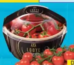 E-Center Looye Kwekers Cherry Rispentomaten Angebot