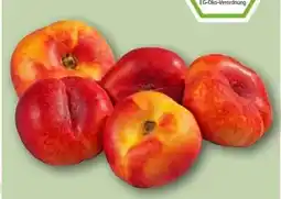 REWE Center Rewe Bio Plattnektarinen Angebot