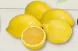 Edeka Frischemarkt Zitrone Eureka Angebot
