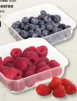 Edeka Frischemarkt Himbeeren Angebot