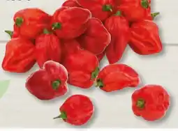 Edeka Frischemarkt Rote Habaneros Angebot
