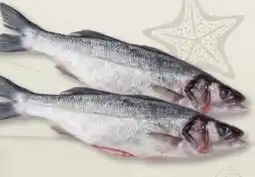 Edeka Frischemarkt Loup de Mer Angebot
