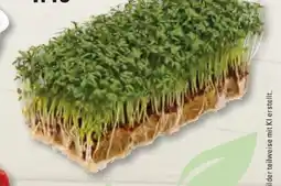 Edeka Frischemarkt Gartenkresse Angebot