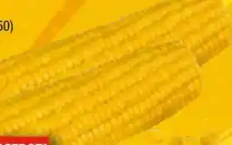EDEKA Bandelt Frische Zuckermaiskolben Angebot