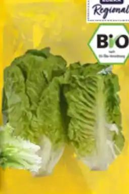 EDEKA Bandelt Edeka Regional Bio-Mini-Romanasalat Angebot