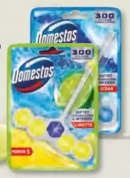Edeka Frischemarkt Domestos WC Steine Power 5 Angebot