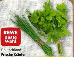 nahkauf Rewe Beste Wahl Schnittlauch Angebot